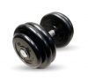 Гантель неразборная черная "Профи" 26 кг MB Barbell MB-FdbM-B26